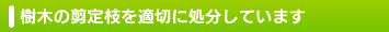 樹木の剪定枝を適切に処分しています